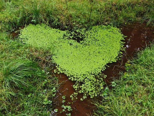 Pro biologické maminky