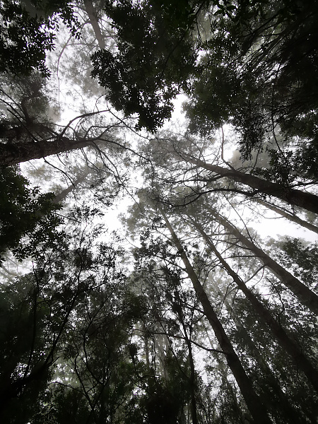 Zvětšit obrázek (1) - Mají právo adoptovaní vědět, kdo jsou jejich vlastní rodiče?